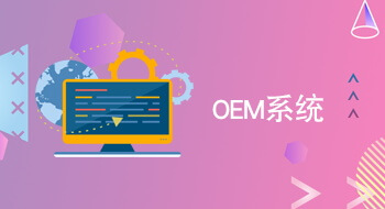 OEM系統